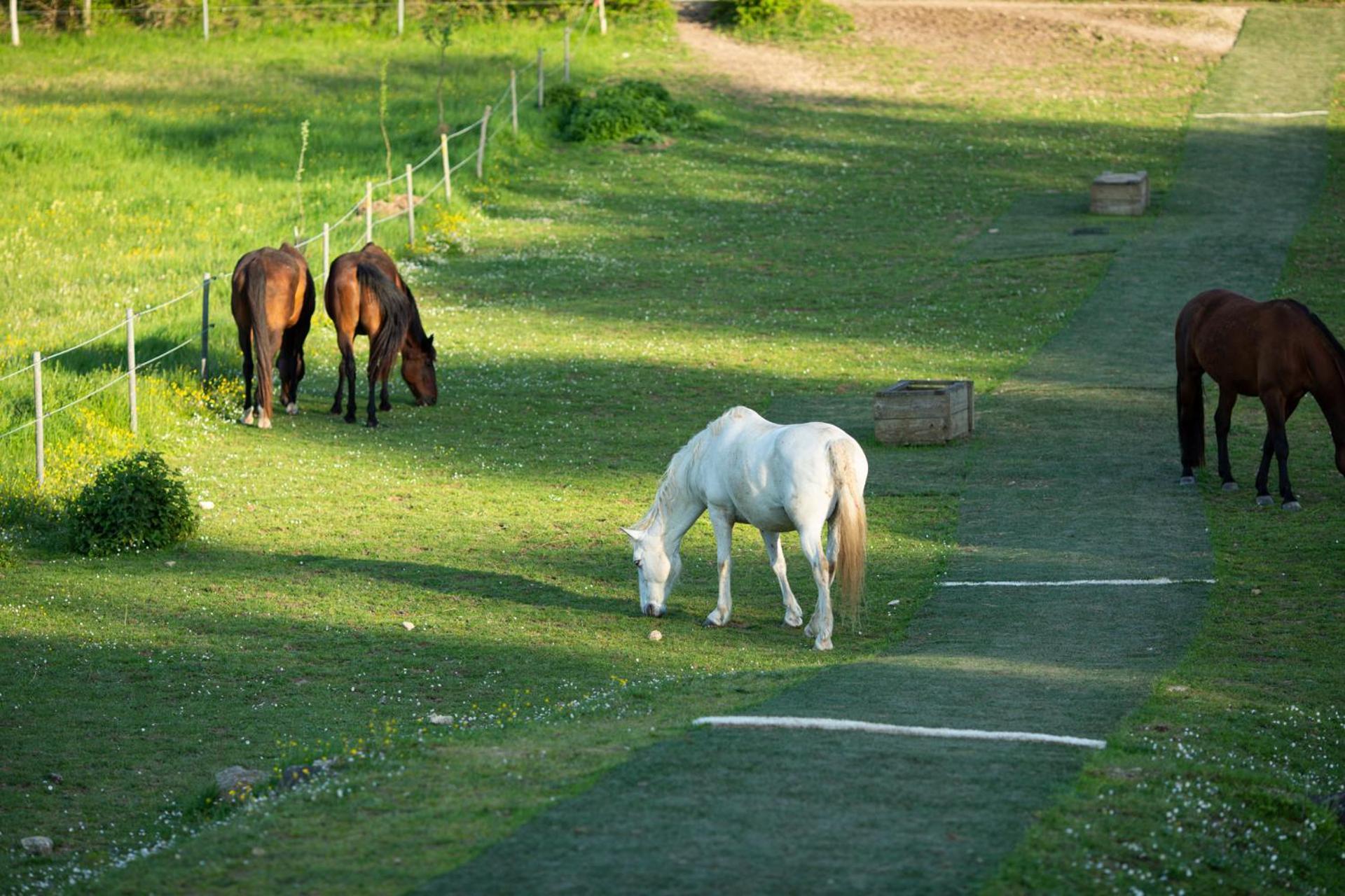 Domaine De Chantemerle B'Nb Marsac  Esterno foto