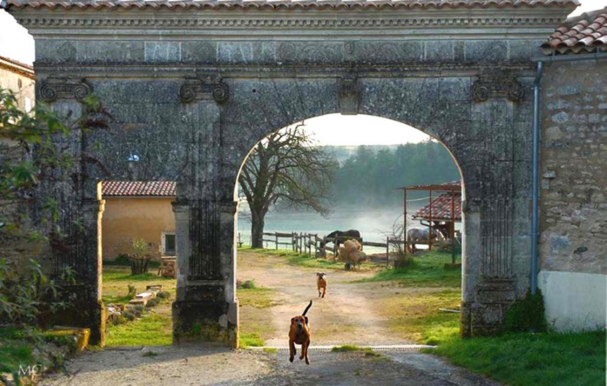 Domaine De Chantemerle B'Nb Marsac  Esterno foto